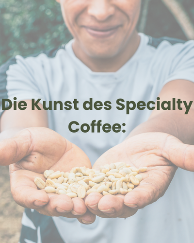 Eintauchen in die Welt des Kaffees: Die faszinierende Reise in der Specialty Coffee Welt