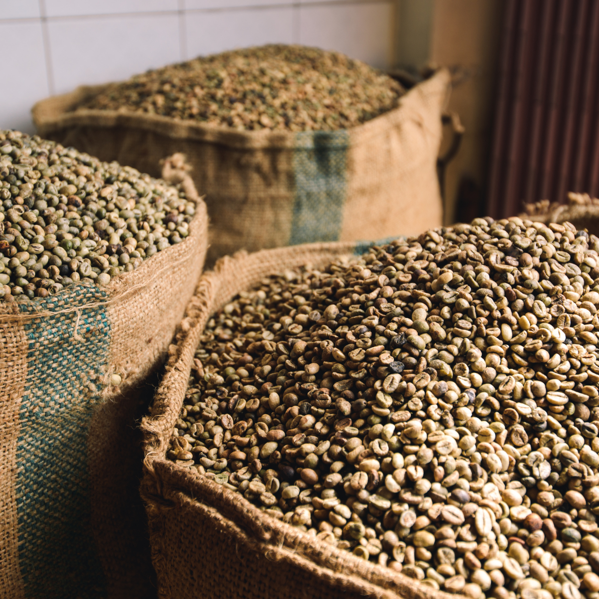 Fair gehandelter Kaffee: Ein Schritt zu nachhaltigem Genuss und guter Qualität