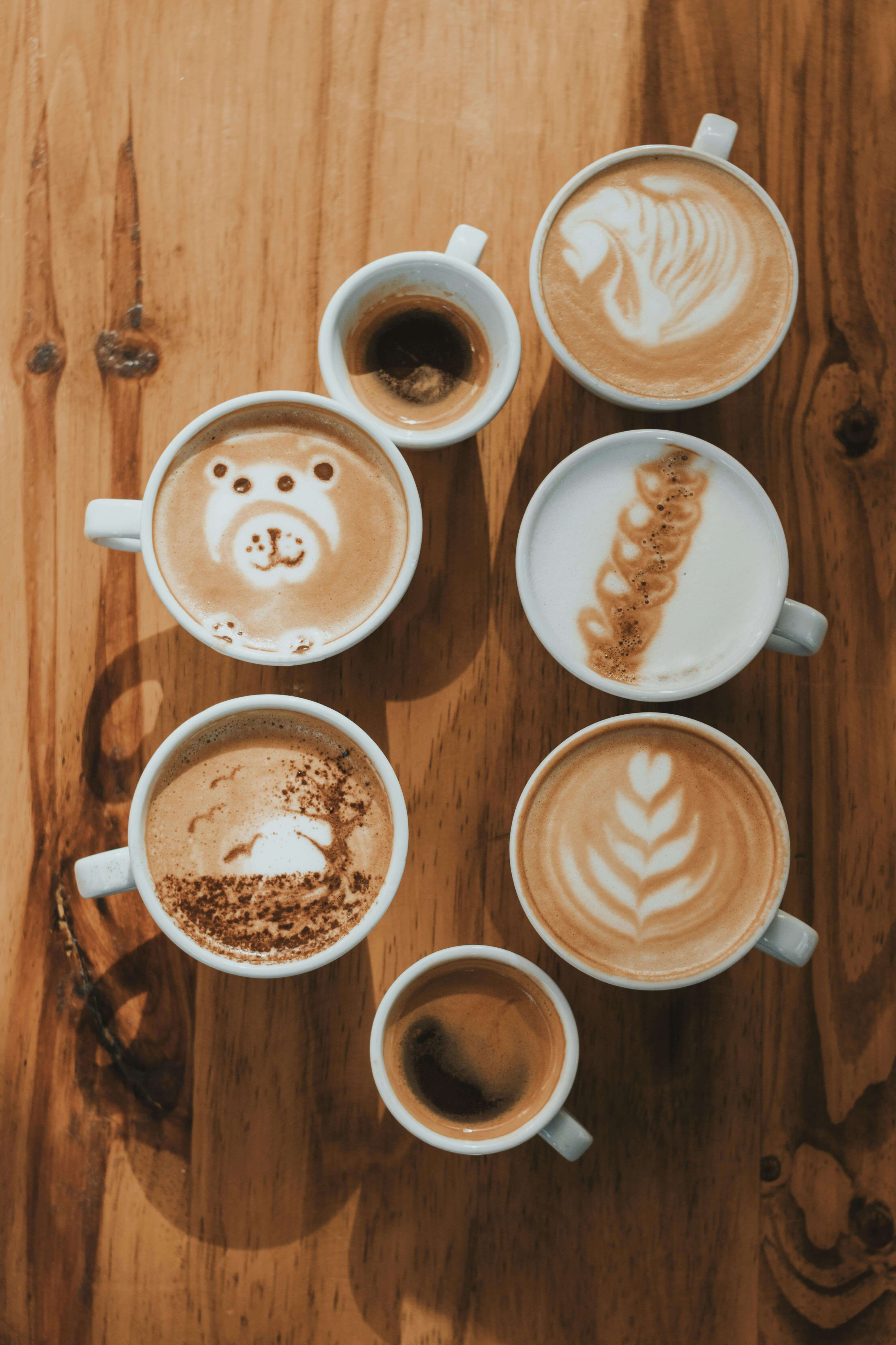 Bio Bohnen & nachhaltiger Kaffee: Der ehrliche Guide für bewussten Genuss