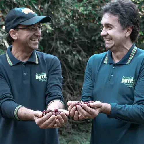 Fazenda Dutra – Matas de Minas, Brasilien Fahman Yoga – Gayo, Sumatra