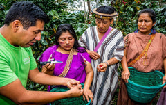 CEPRO Yanesha Kooperative (Indigene Yanesha-Gemeinschaft, 141 Kaffeebauern aus 7 Dörfern, gegründet 2016), Peru