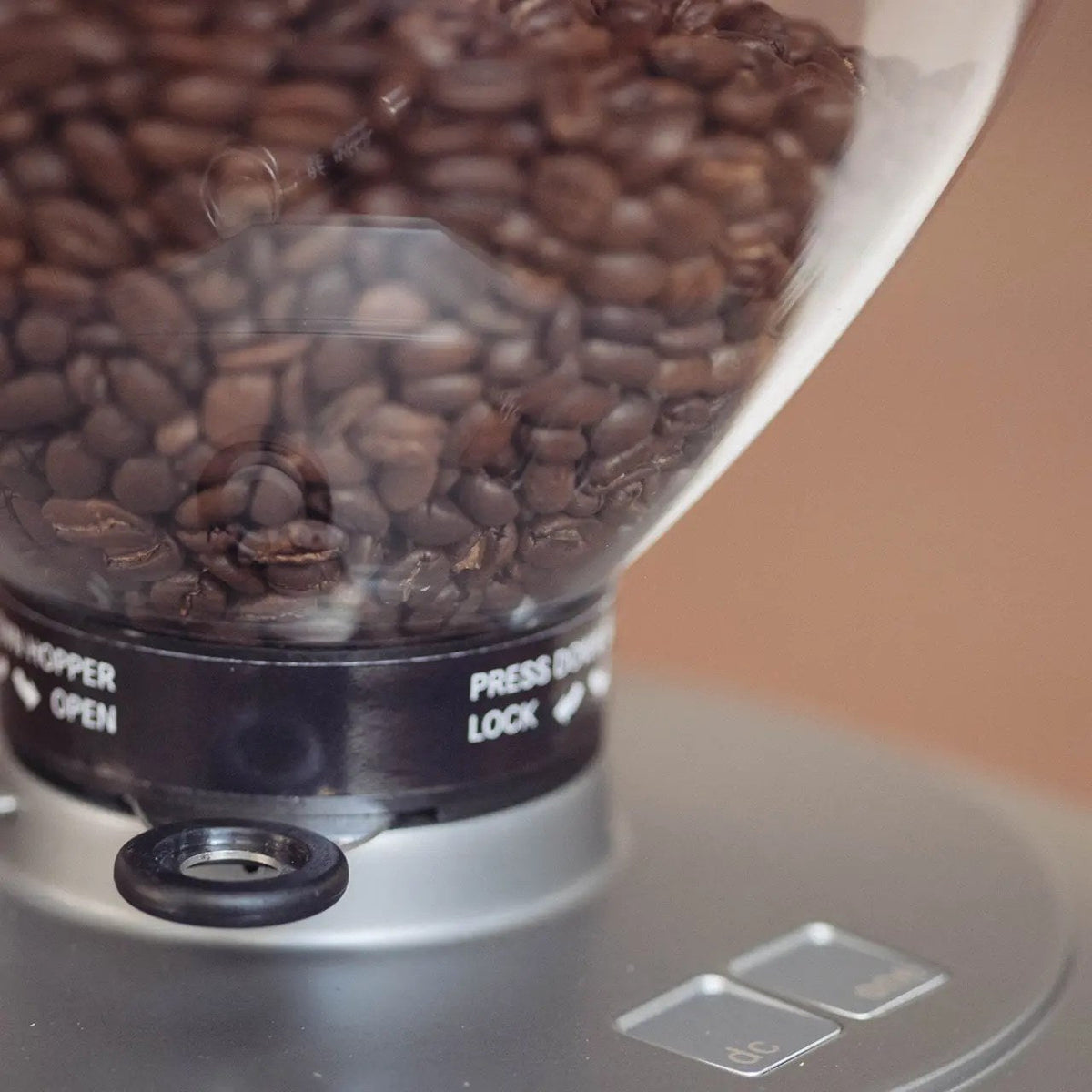 Dalla Corte DC One, Bohnentrichter von oben mit Kaffeebohnen