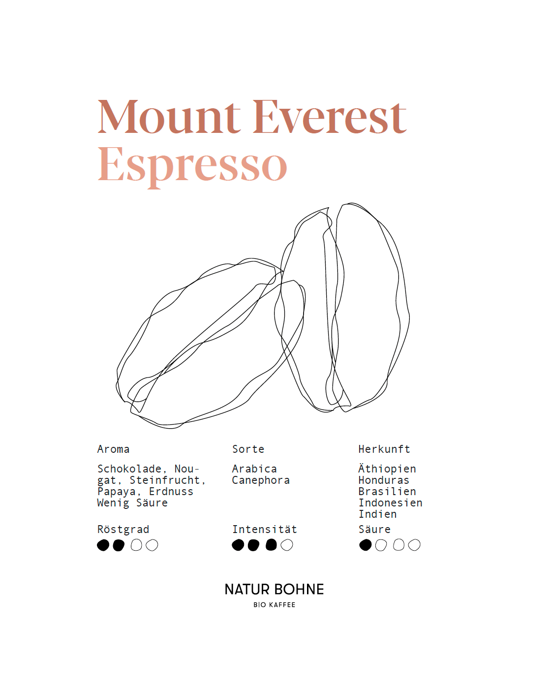 Le mont Everest