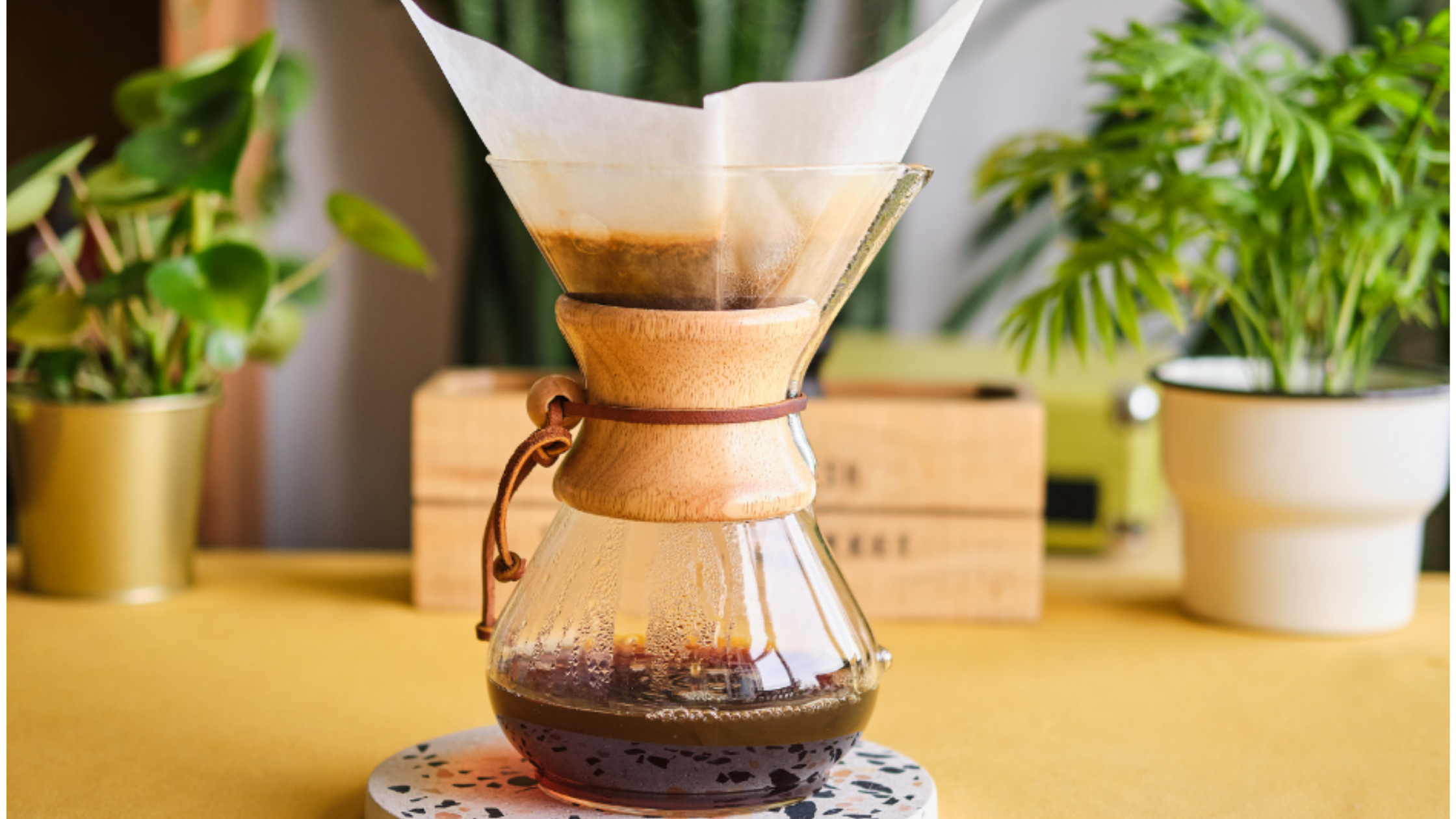 Welcher Kaffee schmeckt am besten ?