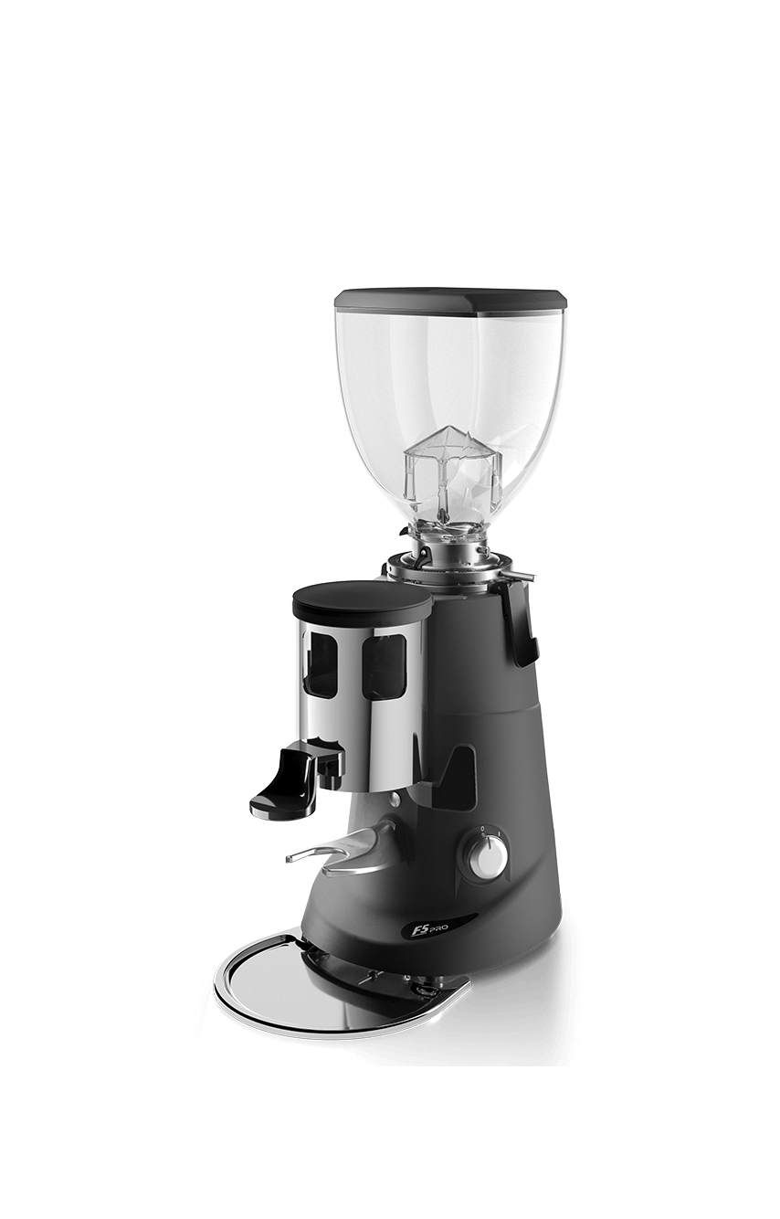 Fiorenzato F5 A PRO coffee grinder