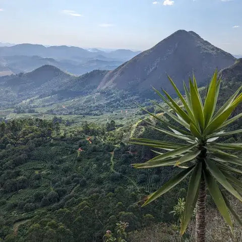 Fazenda Dutra – Matas de Minas, Brasilien Fahman Yoga – Gayo, Sumatra, Brasilien, Indonesien
