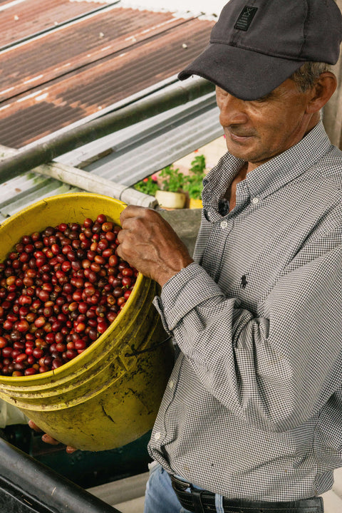 Federación Campesina del Cauca (FCC) Kleinbauernkooperative aus der Cauca-Region, Kolumbien